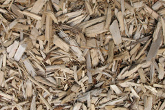 biomass boilers Lasswade